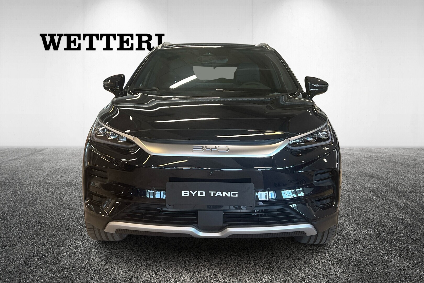BYD Tang AWD 2025, kuva 2/12