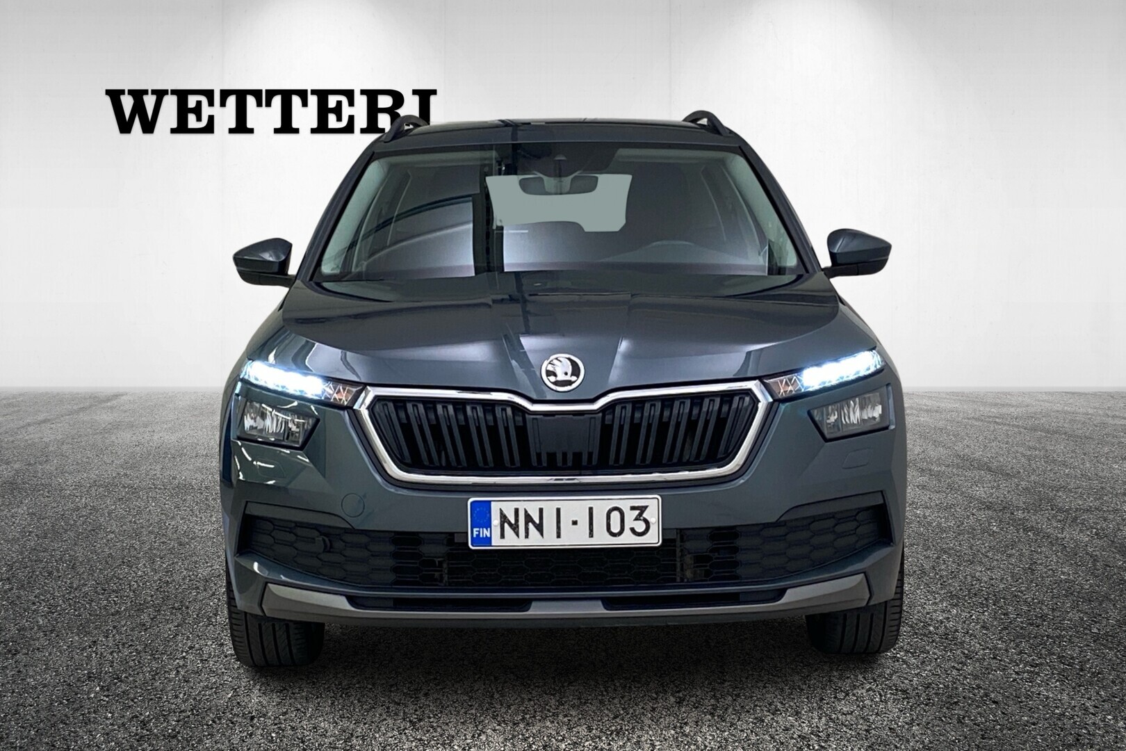 Skoda Kamiq 2020, photo 2/16