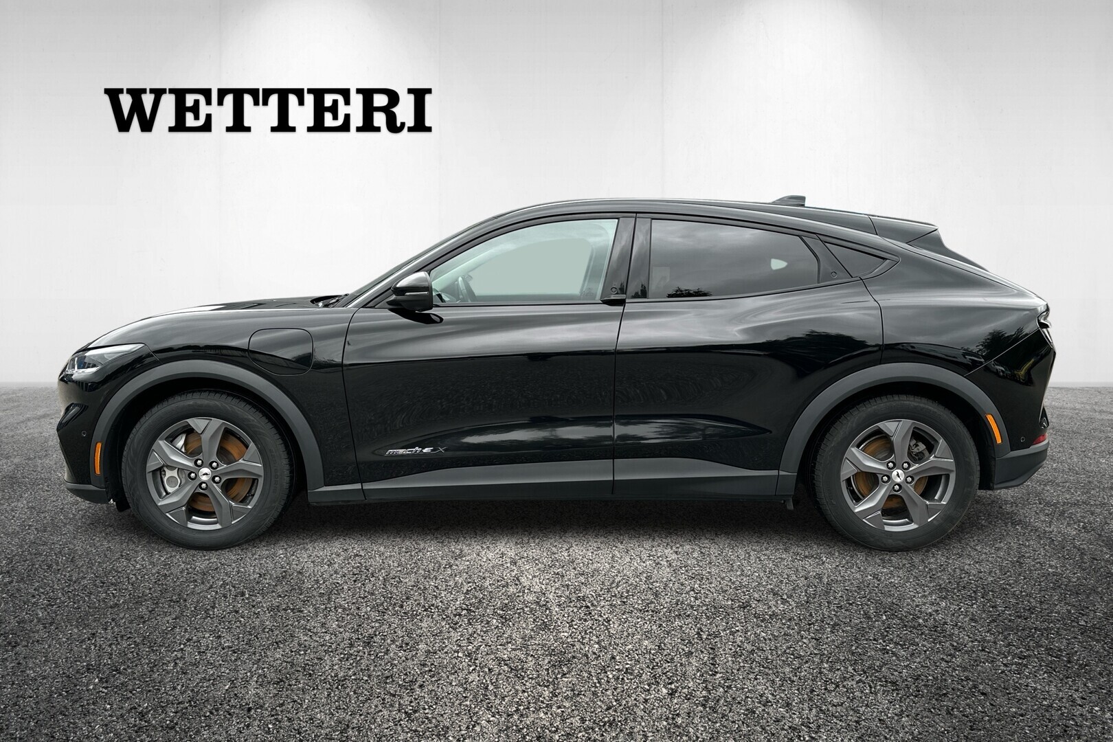 Ford Mustang Mach-E 2022, photo 5/30